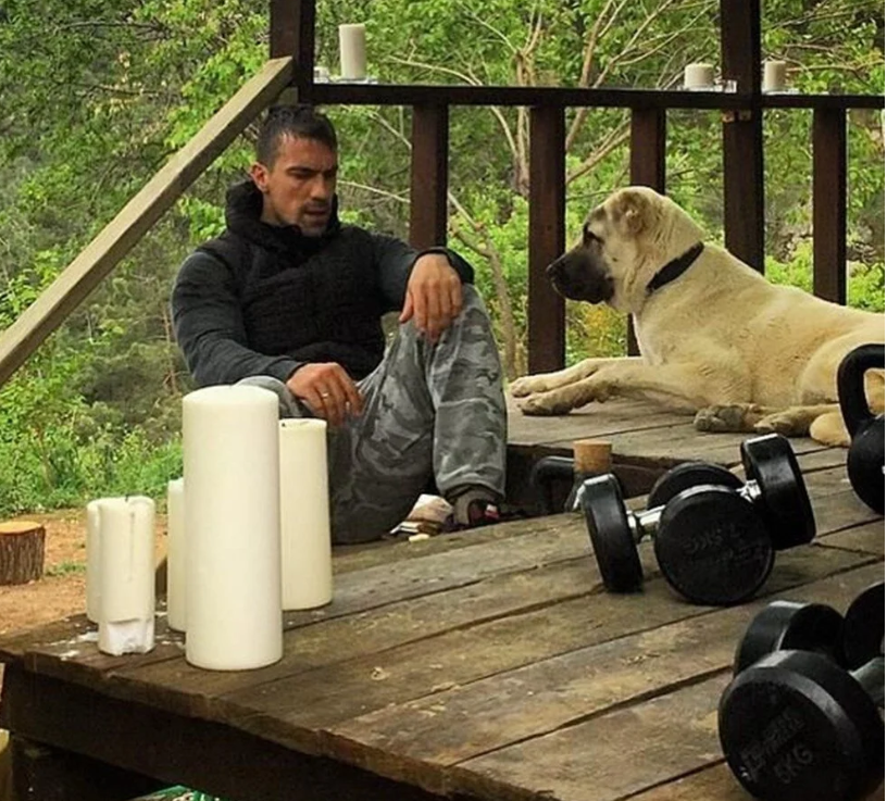 Фото: интернет