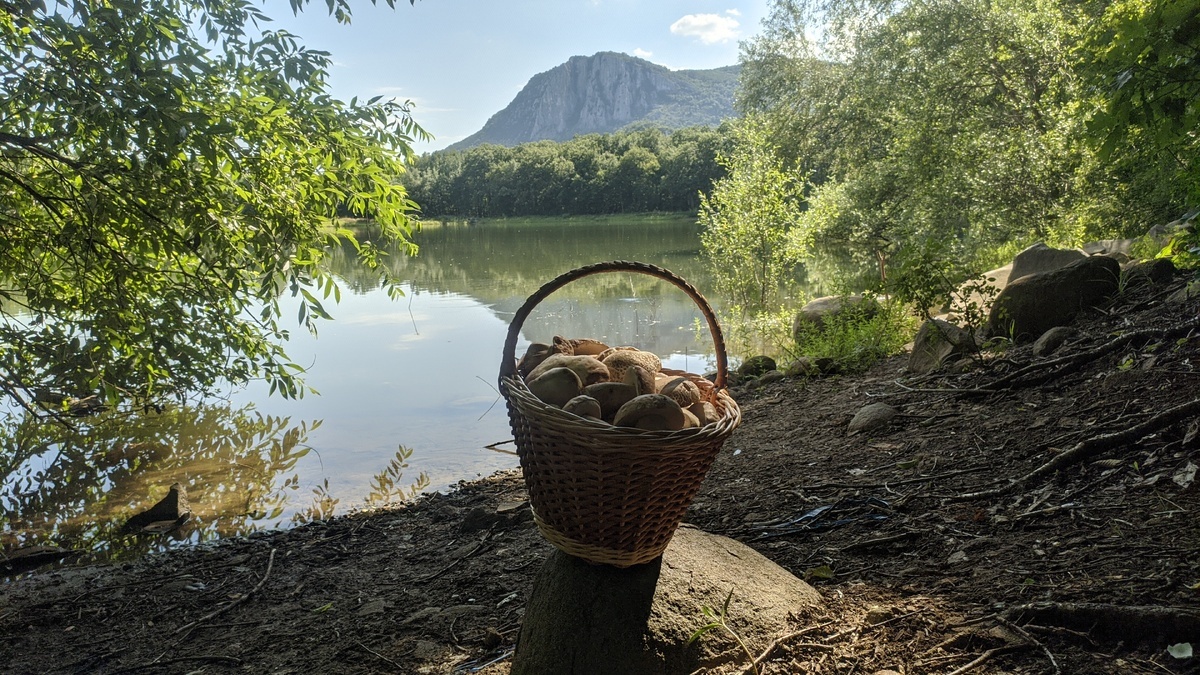 Ячменев Сергей. Крым