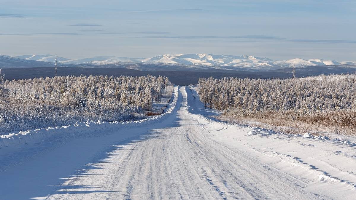    Фото: Shutterstock