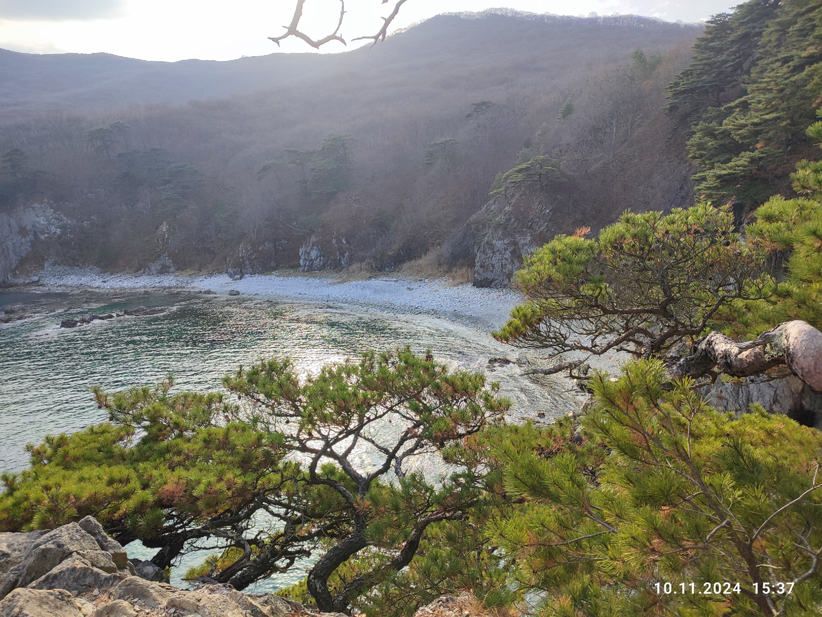 Фото автора.