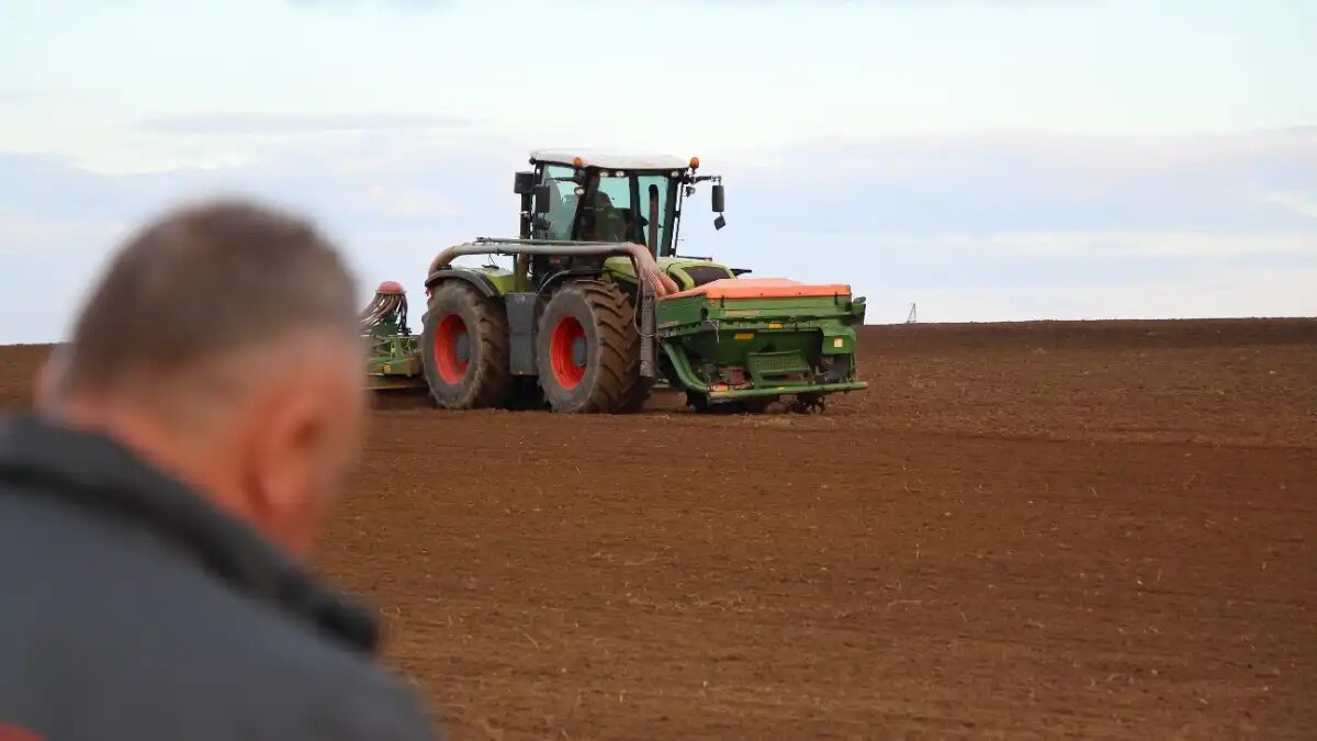 Фото:© Владимир Исаенко / Glavagronom.ru Зерновой союз РФ отметил сложности с посевом озимых культур в 2024 году