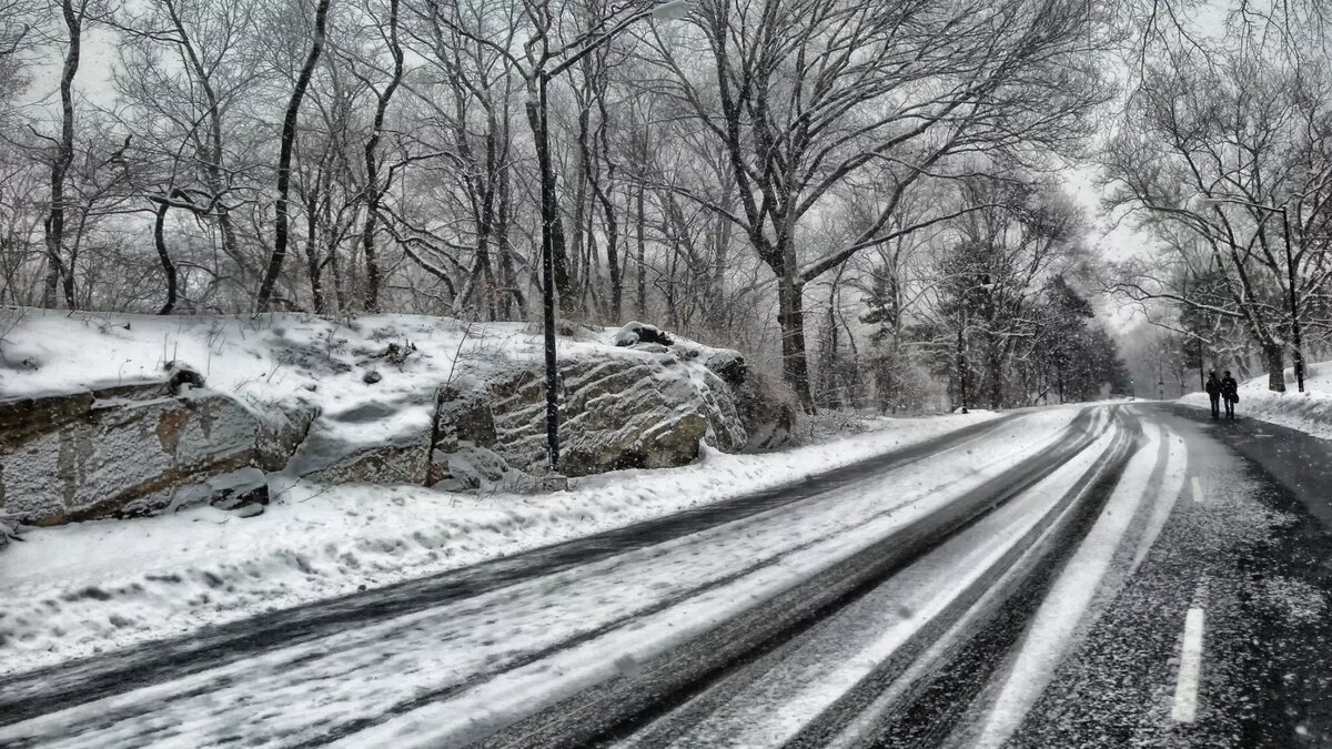     Источник: Pxhere.com