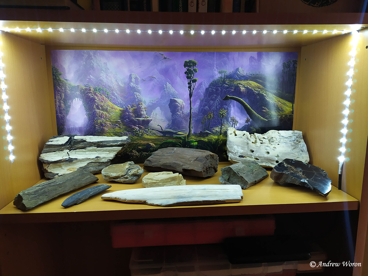 Полка с образцами