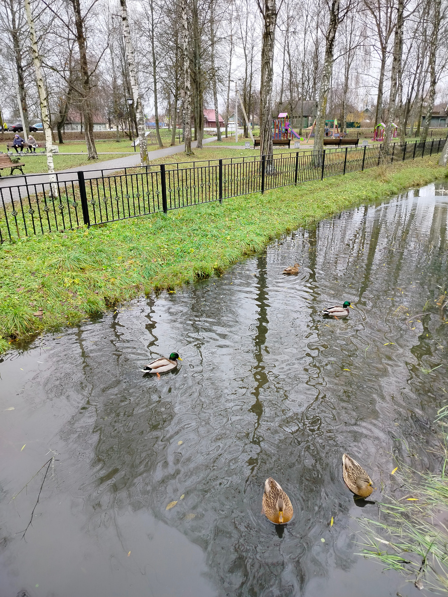 В парке Победы