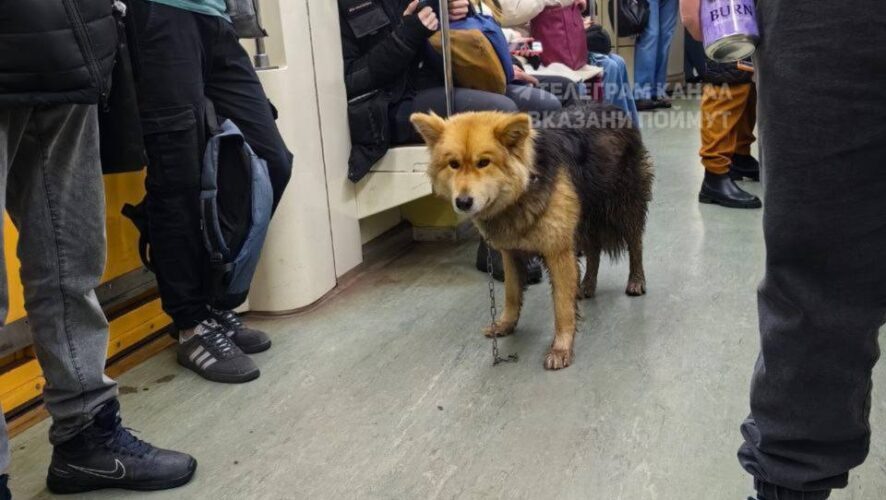    Фото: соцсети