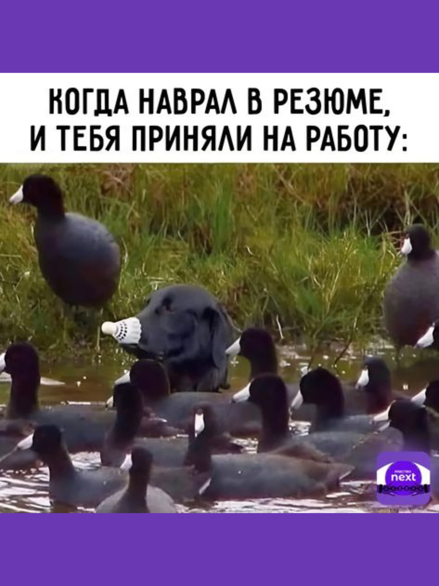 -4