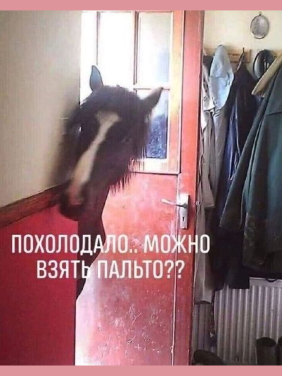 -3