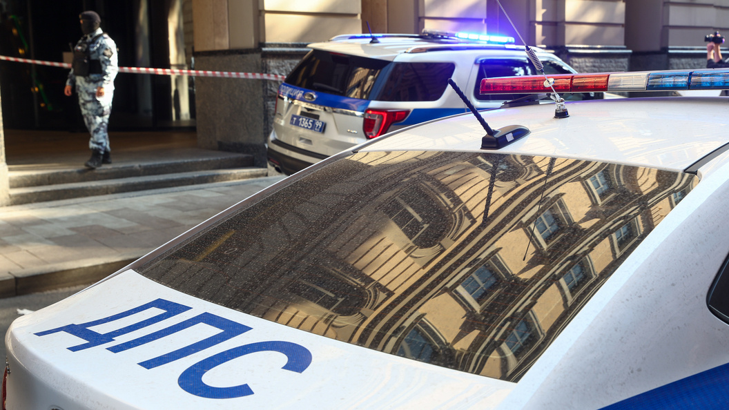    Фото: Shatokhina Natalia/Globallookpress