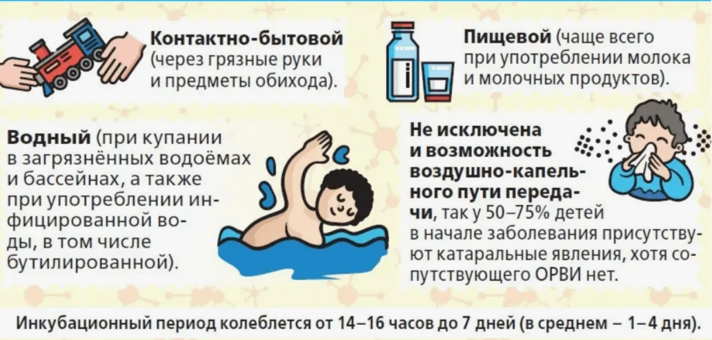 Способы заражения ротавирусной инфекцией