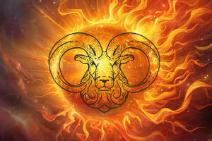 фото из интернета