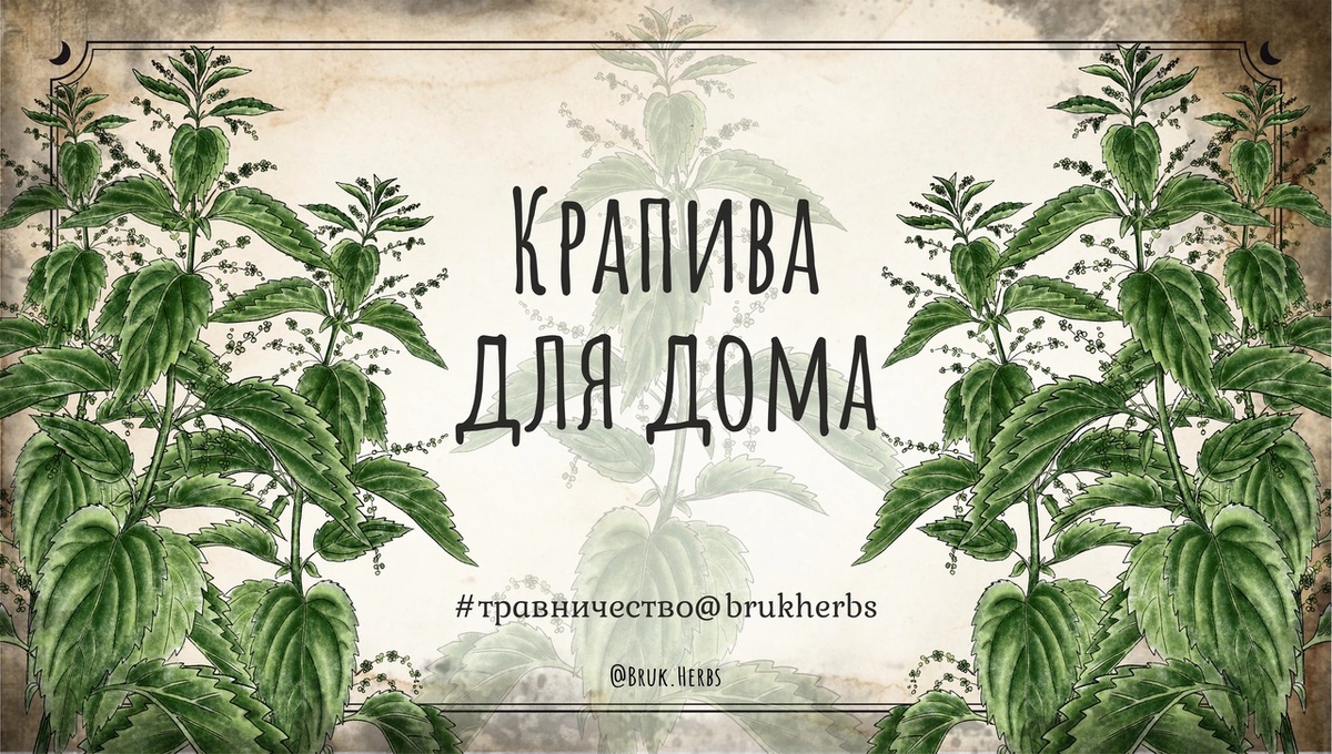 Дизайн @bruk.herbs
