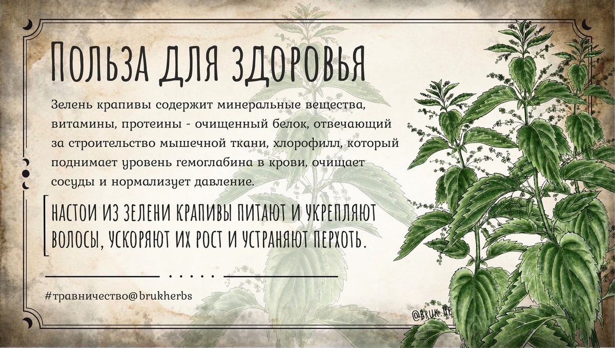 Дизайн @bruk.herbs