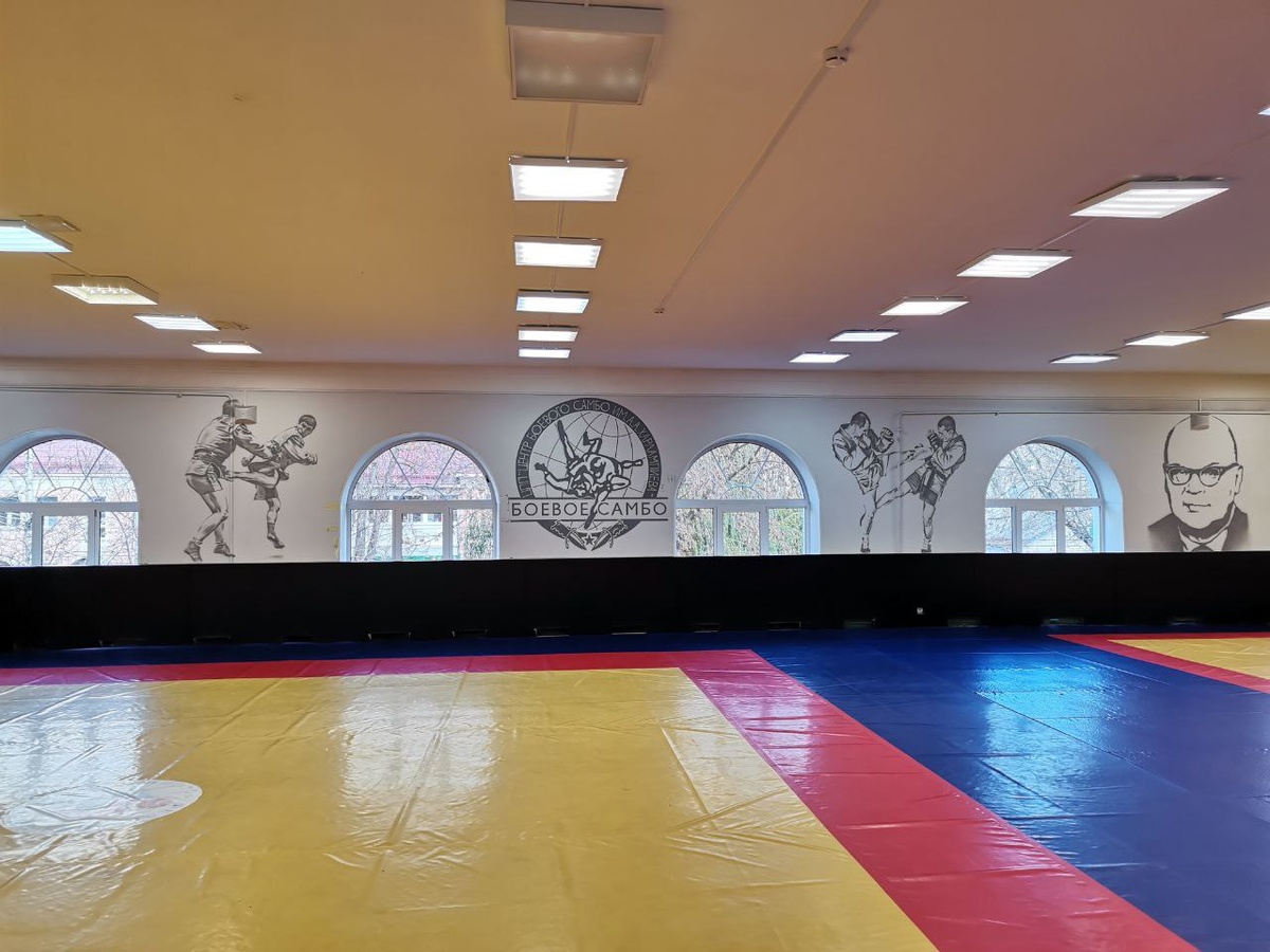Зал в ЦПП "Институт развития самбо"
