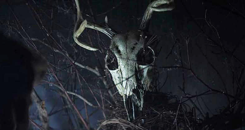 Кадр из фильма «The Wretched». Режиссеры: Бретт Пирс, Дрю Т. Пирс. Производство: Cailleach Productions. Прокат: Экспонента