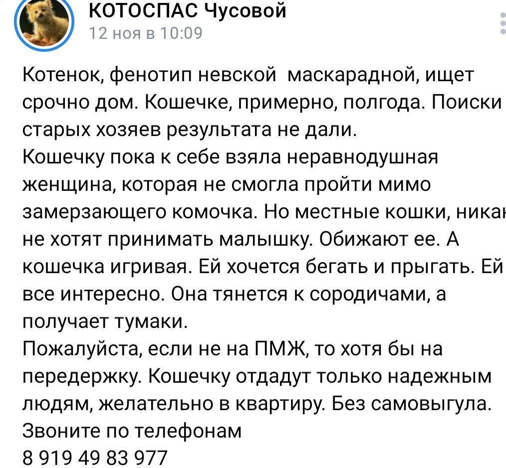 Бывает, что одно объявление- это счастливый билет в благополучное будущее