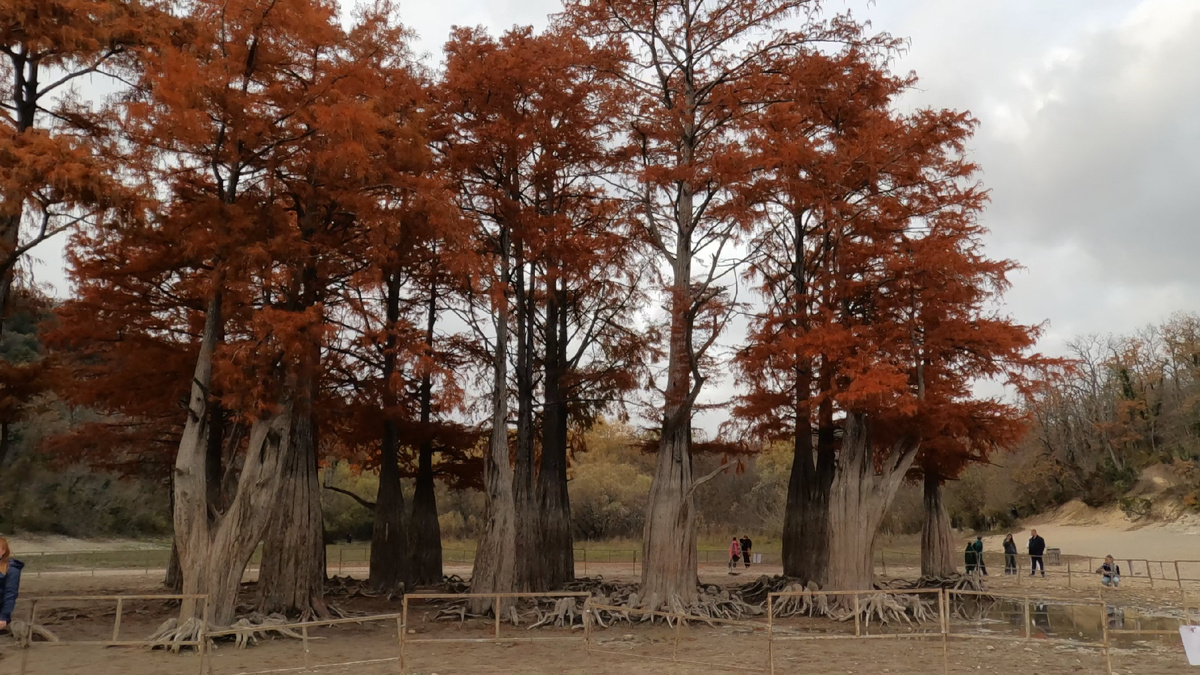 Скрин с видеоматериала автора