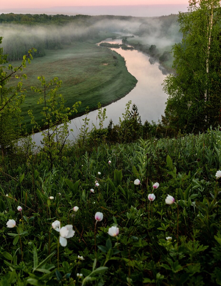 Хорошо в деревне летом.