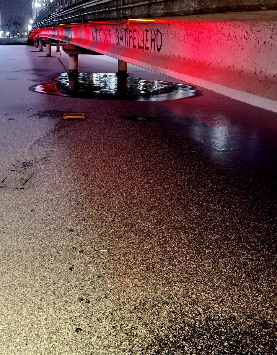 Следы лапок на заснеженном льду...