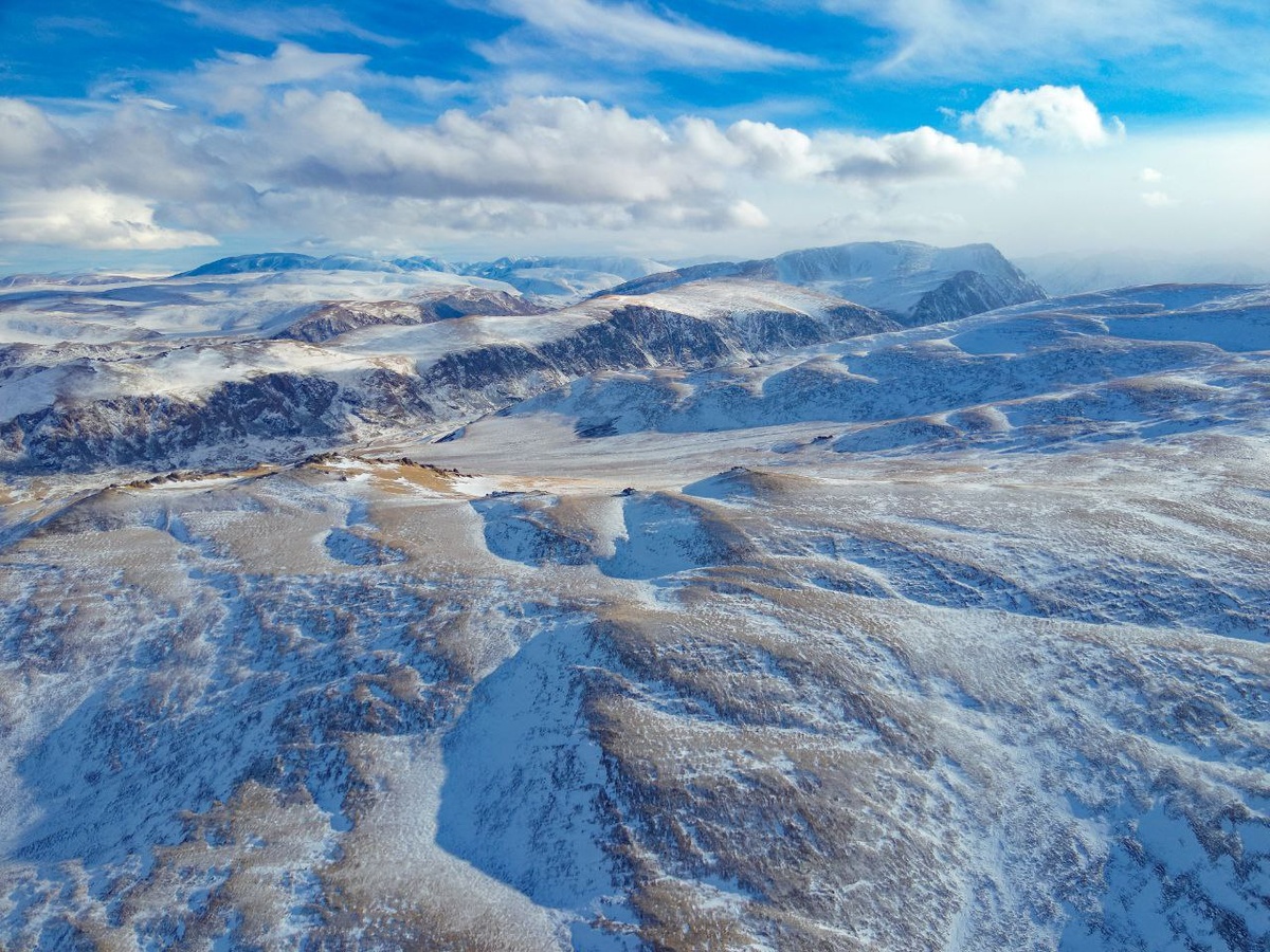 (с) Роман Воробьев. Ледяная пустыня алтайских гор. Места обитания алтайских горных баранов в Республике Алтай. 