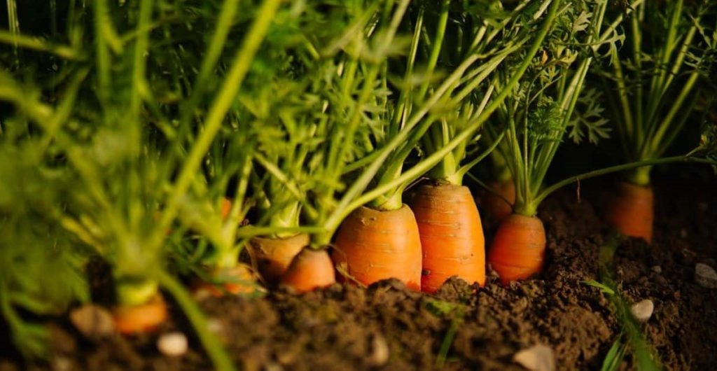 Фото из архива