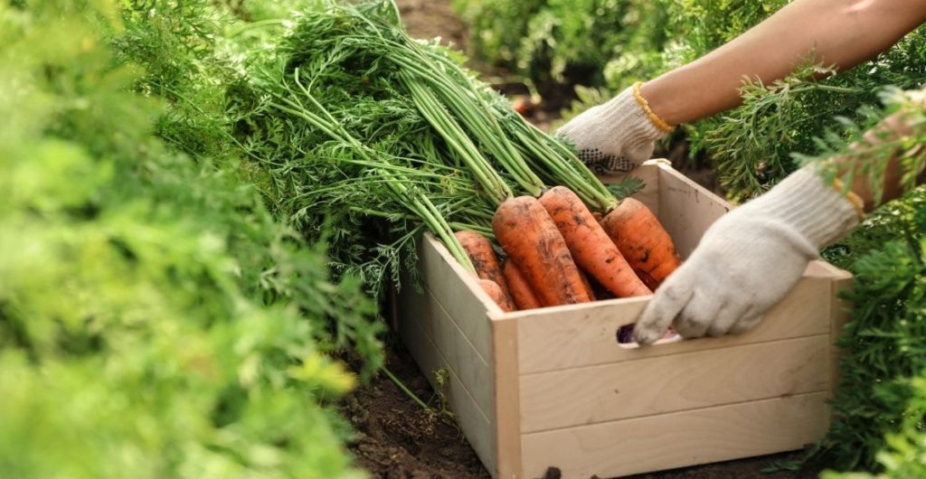 Фото из архива