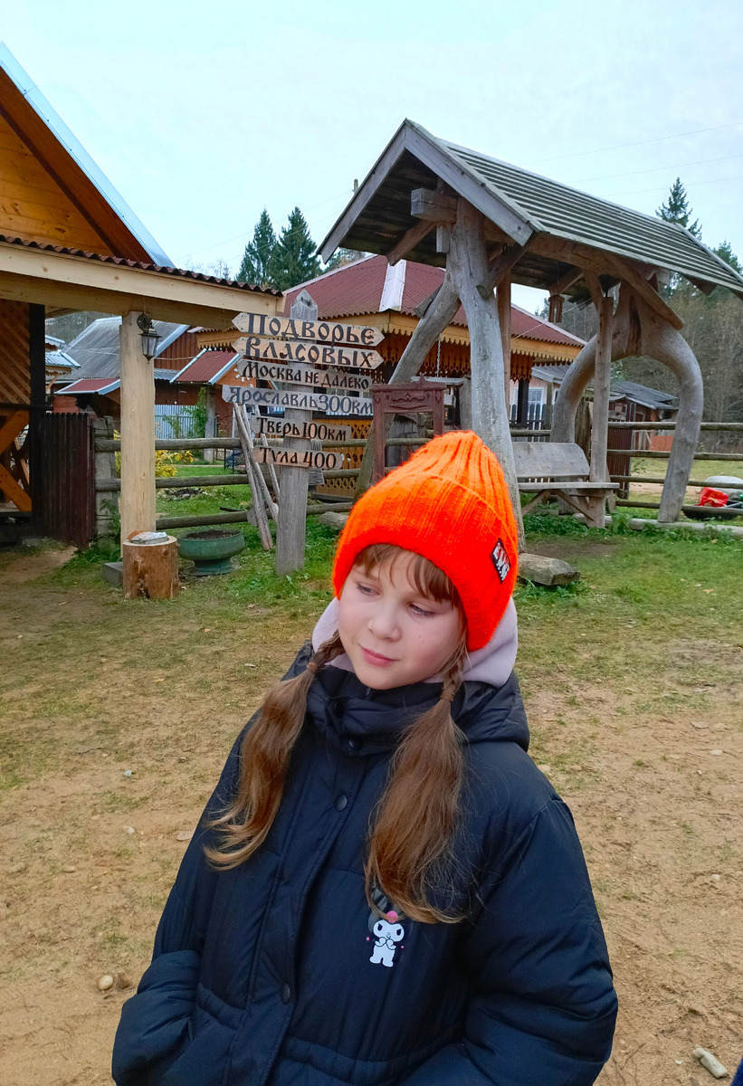 Подворье Власовых