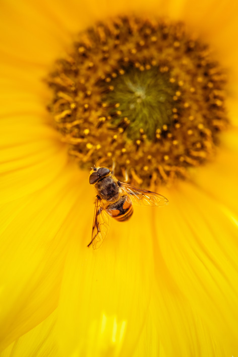 Пример фото, сделанного на Sony Alpha 7C.