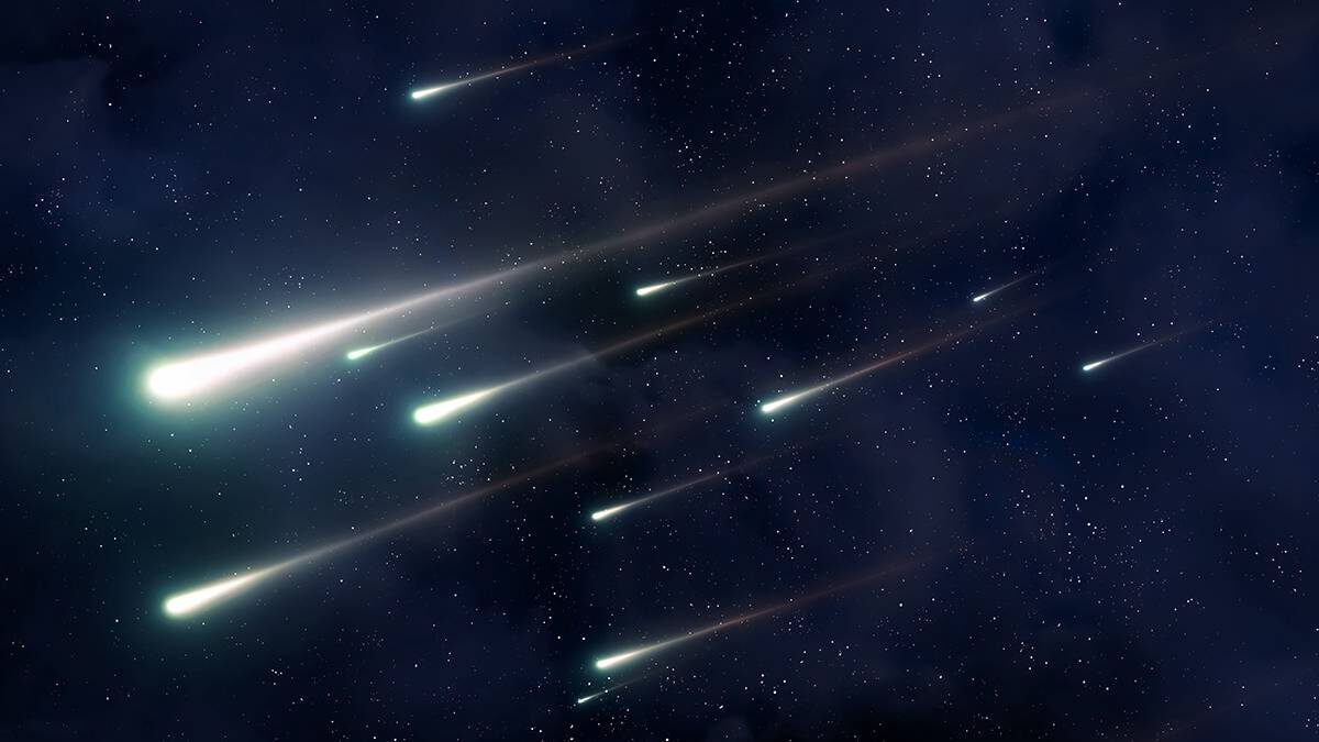    Фото: Shutterstock