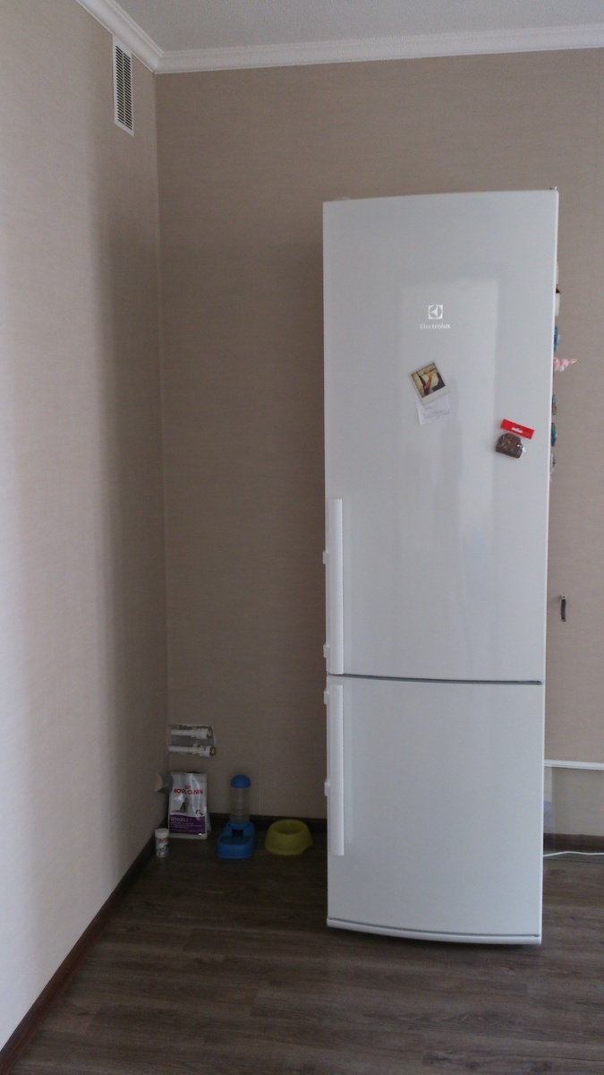 Жили с котиком первый год без кухни