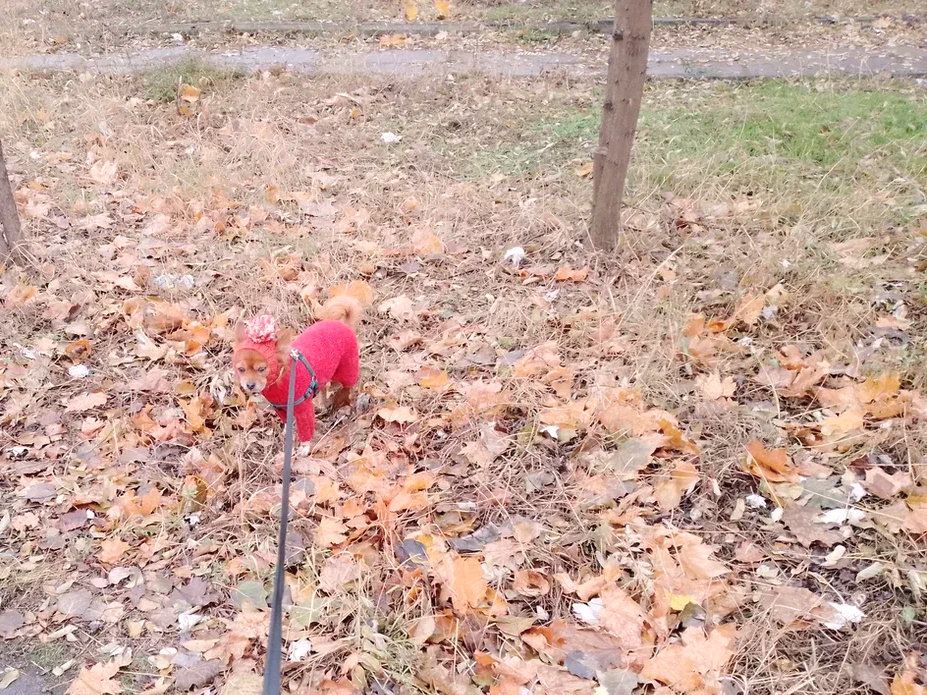 Боня в красном.