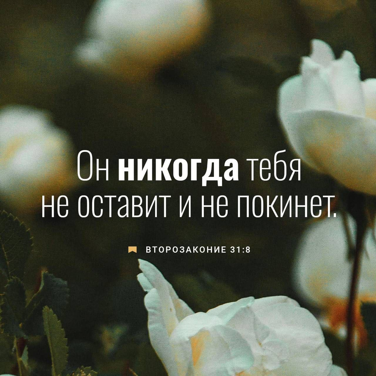 Второзаконие 31:8 НРП