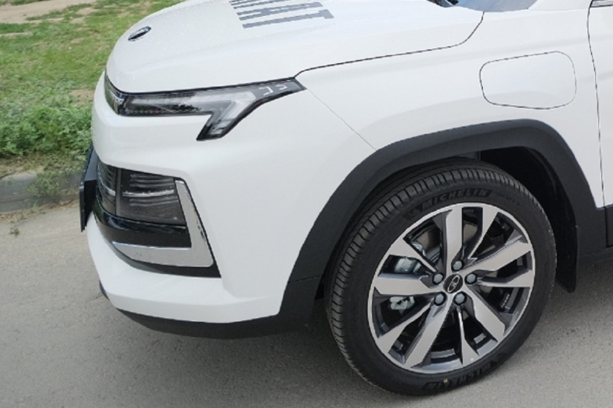 © Фото: ИД «Волгоградская правда» / архив.