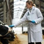    Сколько зарабатывают сельские жители Беларуси и какие вакансии есть в деревнях? Пётр Берёза