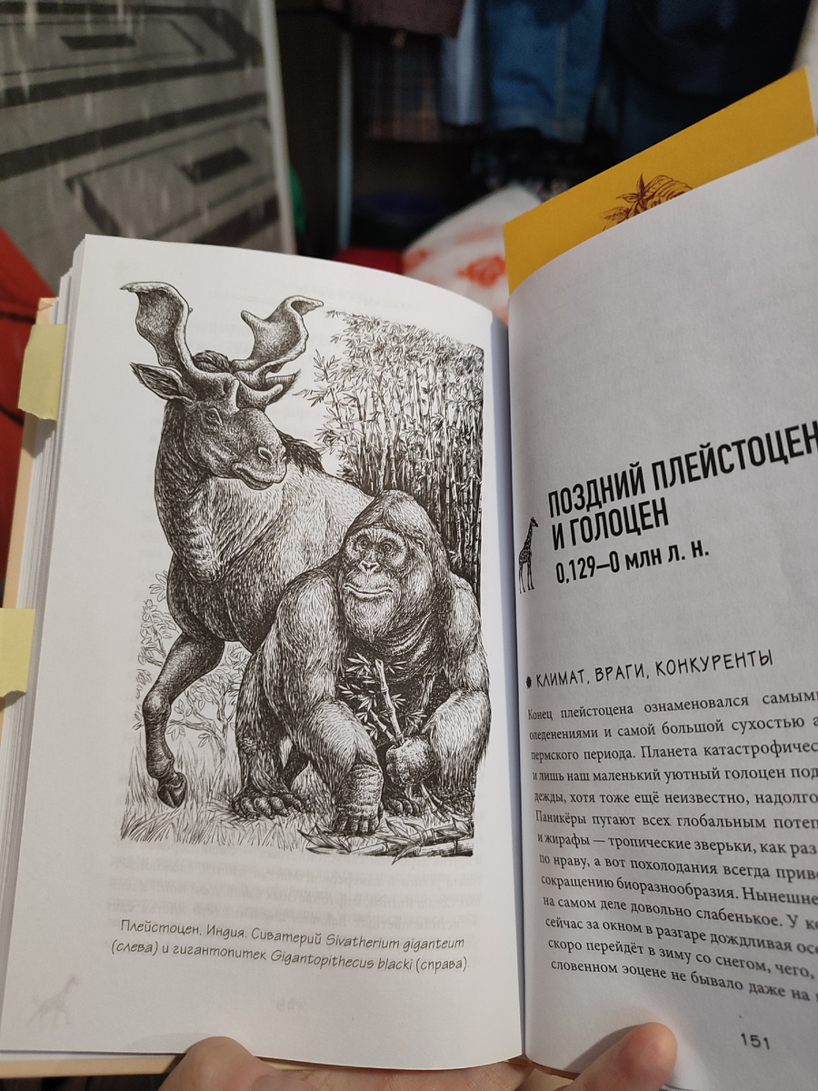 Книжка ещё и с картинками