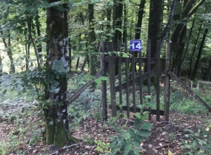    прокуратура Краснодарского края