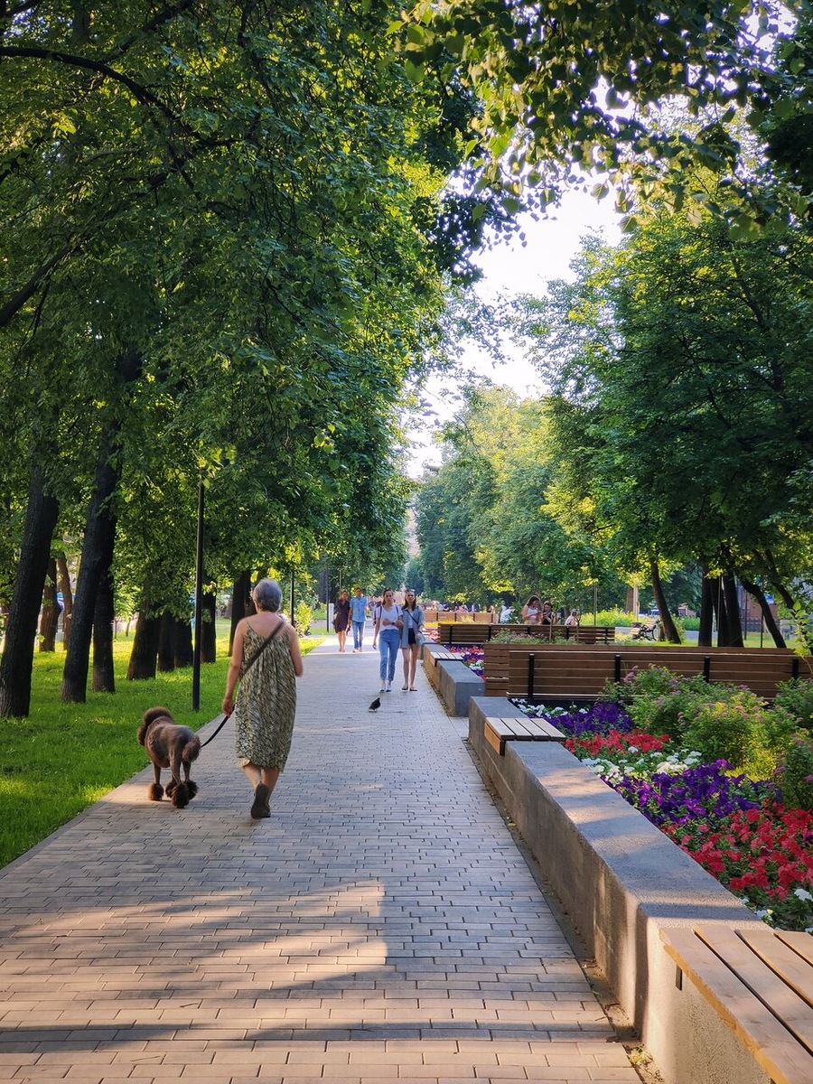 Сквер на улице Звездинка в наши дни (отзывы на Яндекс.картах)