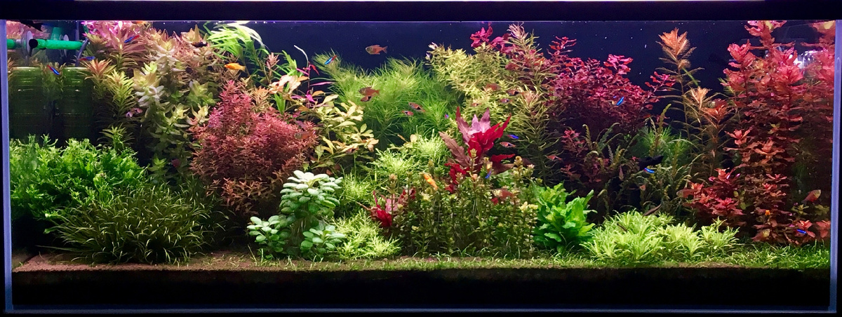 Фото: Андрей Дюжев, г. Канаш