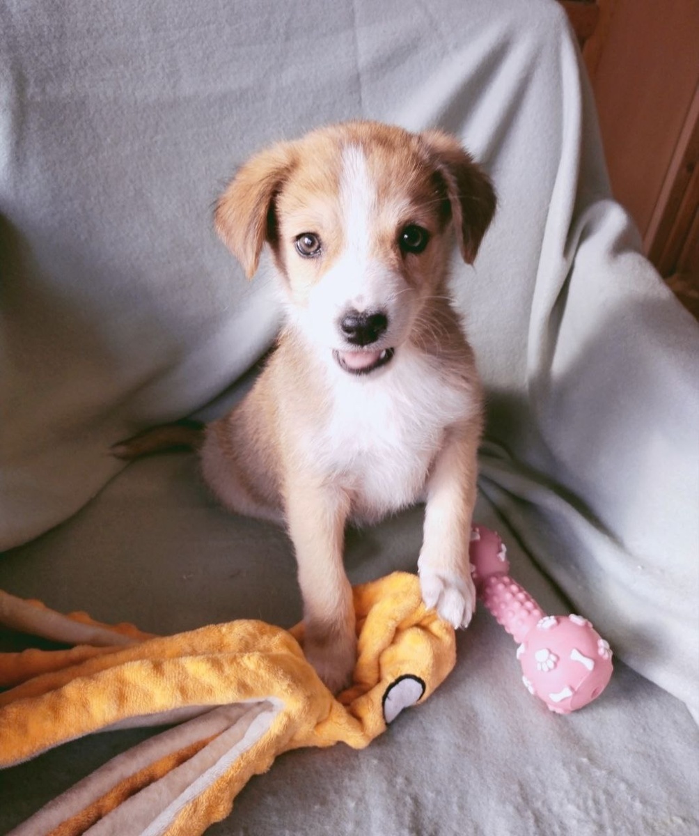 Мия- обманчиво кроткая малышка)