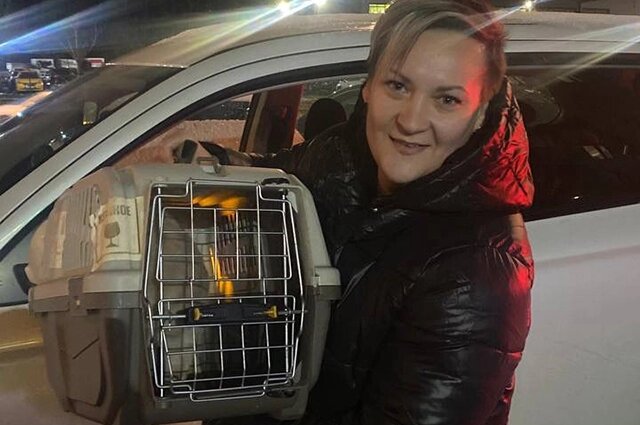    Кот Лучик. Фото: Предоставлено Центром защиты животных ГБР «Зоозащита»