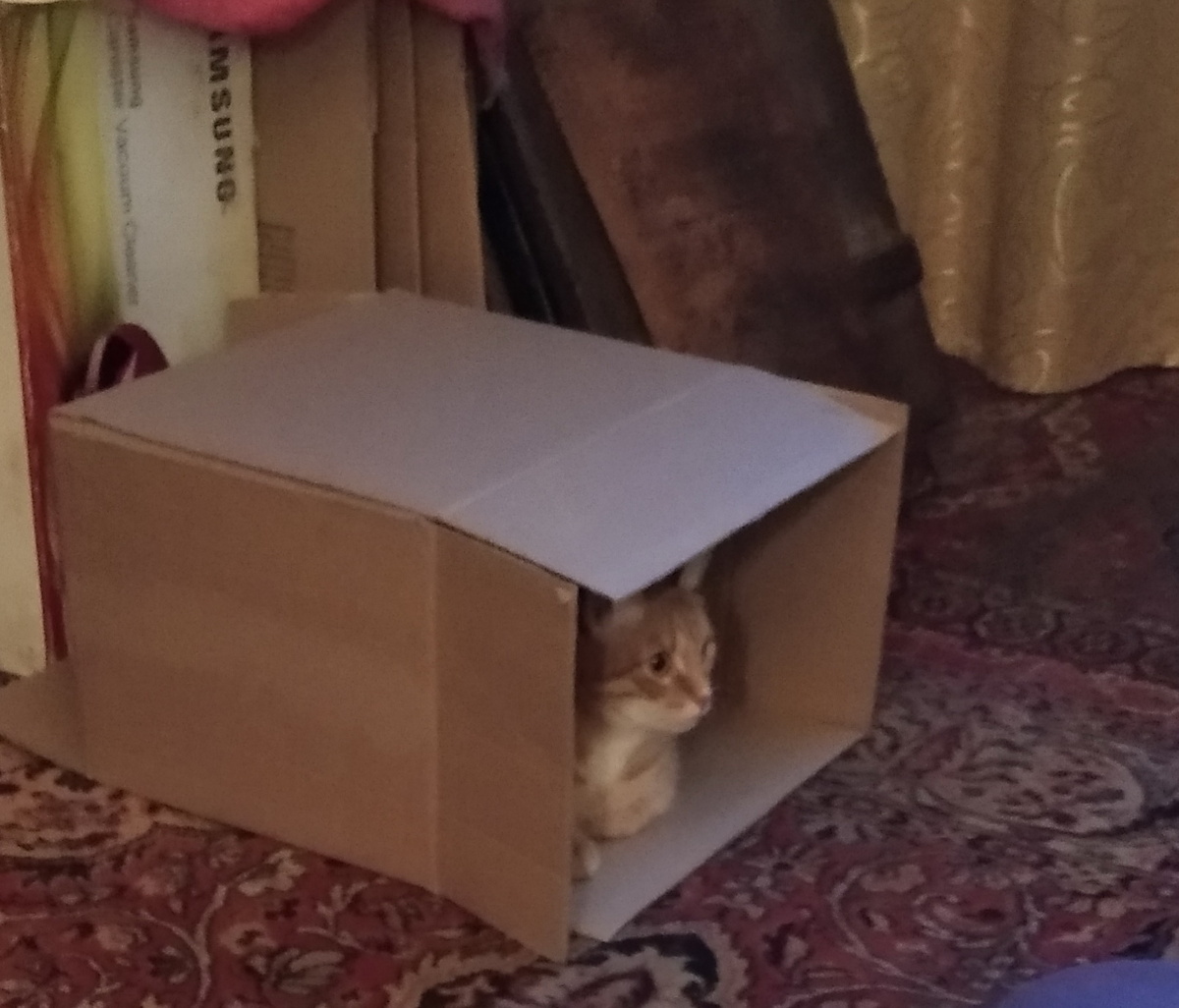 Личное  фото. 