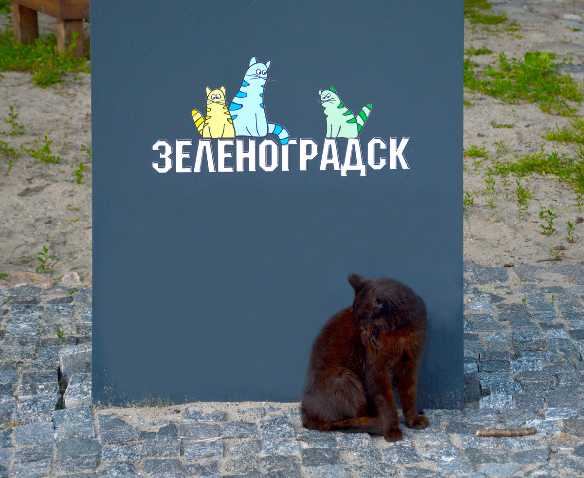 Все фотографии в статье мои