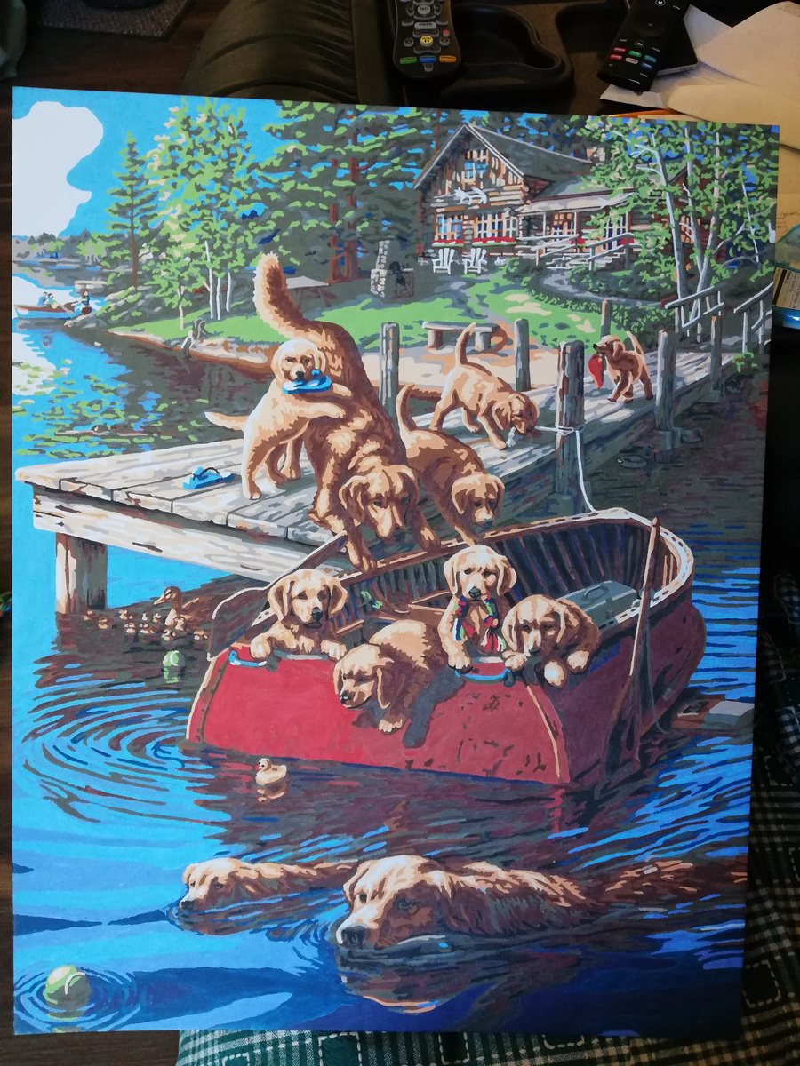 Картина по номерам, Plaid, Dog paddle (плавание по-собачьи)