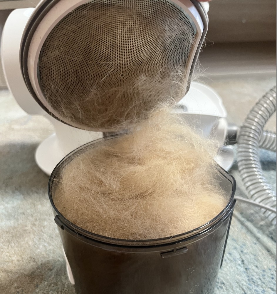 Это все могло быть на постели, одежде, в супе!