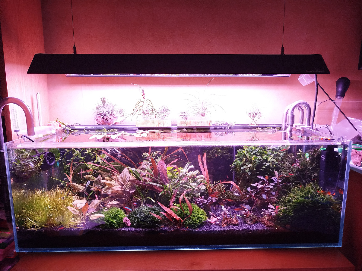 Фото: Дмитрий Ткаченко, г. Дмитров