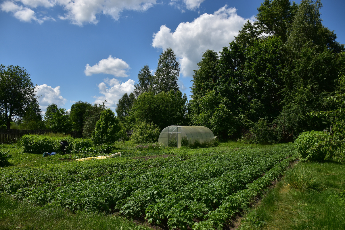 Летом, на даче 🤟