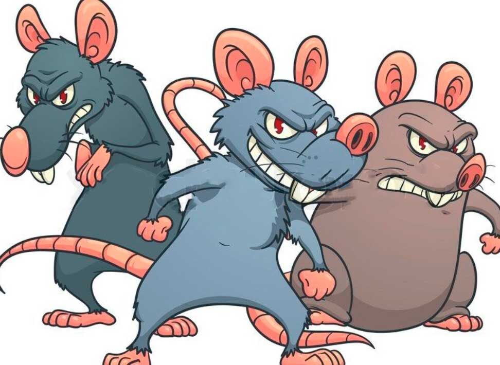 Как написать рецензию на стихотворение и разобрать «Мыши» Брюсова