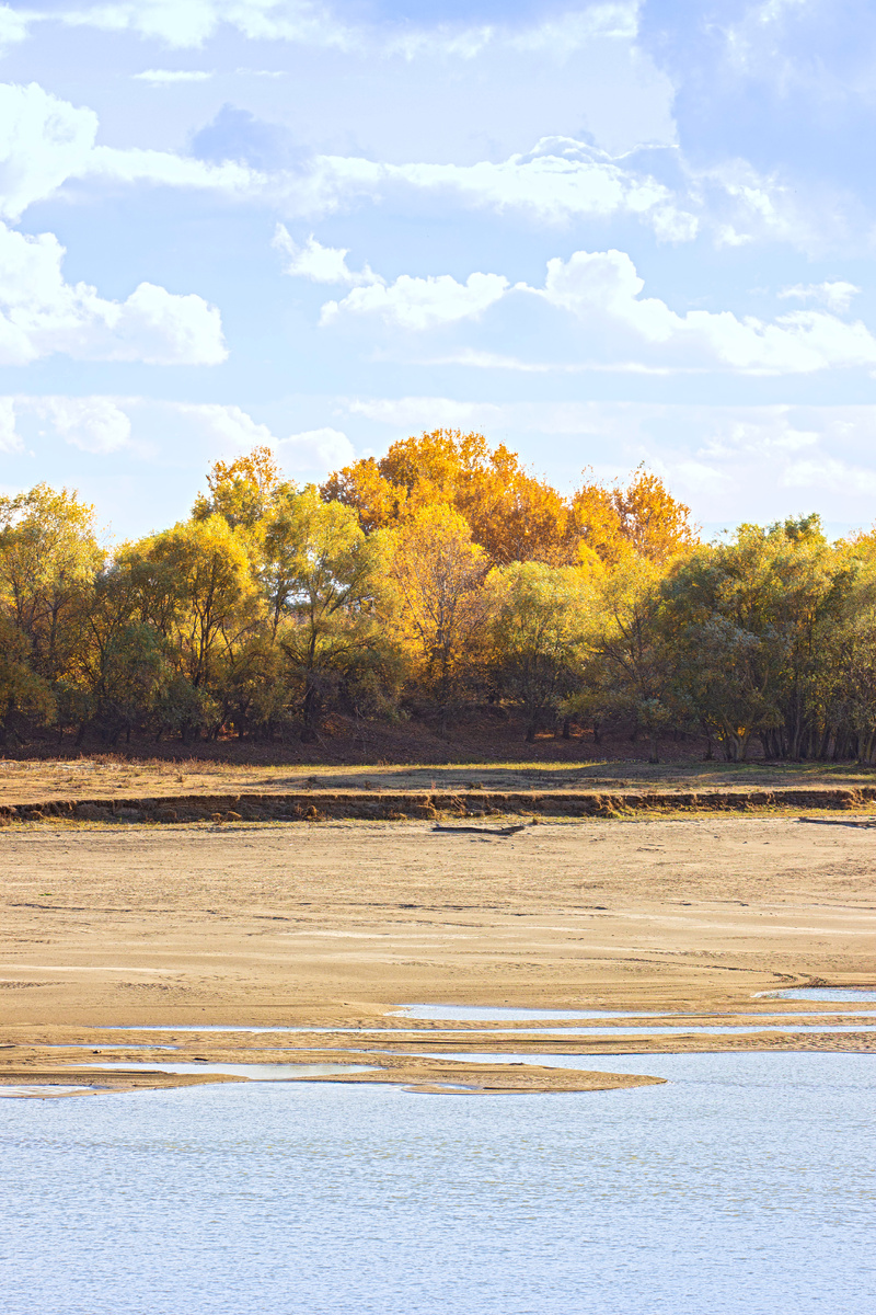 Обмелевшая Кубань в осень 2024 года 