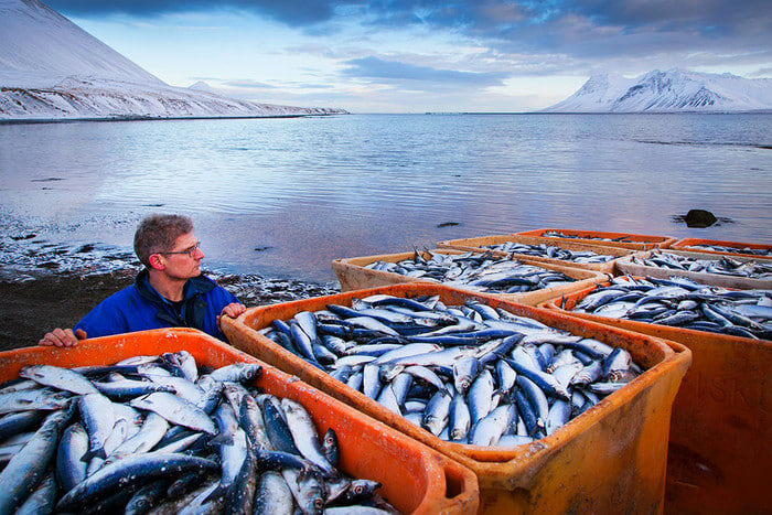 Норвежский улов