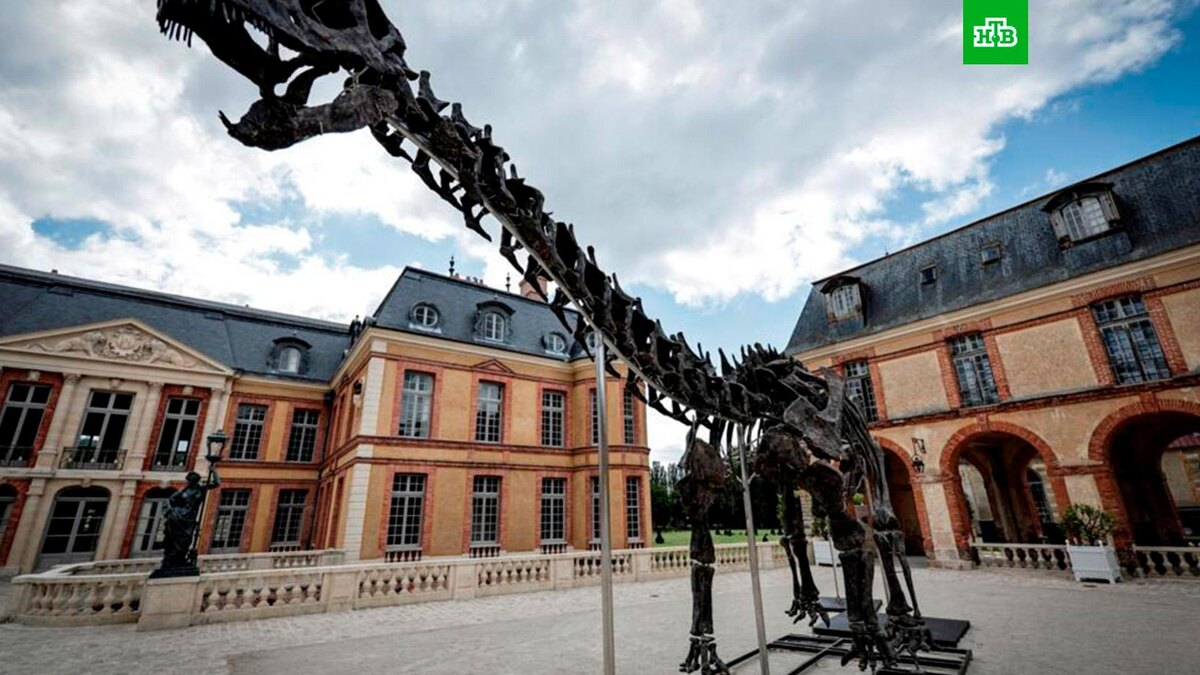    Фото: barbarossa-auction.com