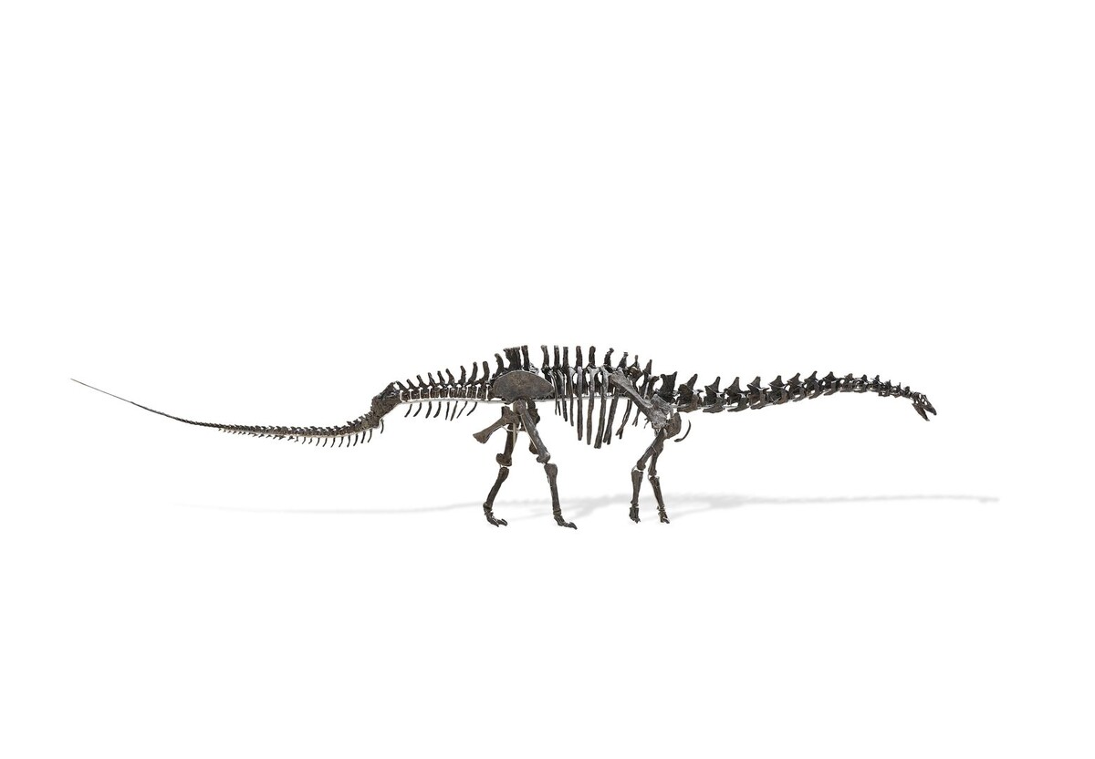     / Источник: © Cover Images/Keystone Press Agency/Global Look Press